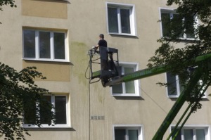 czyszczenie zielonych śladów na elewacji